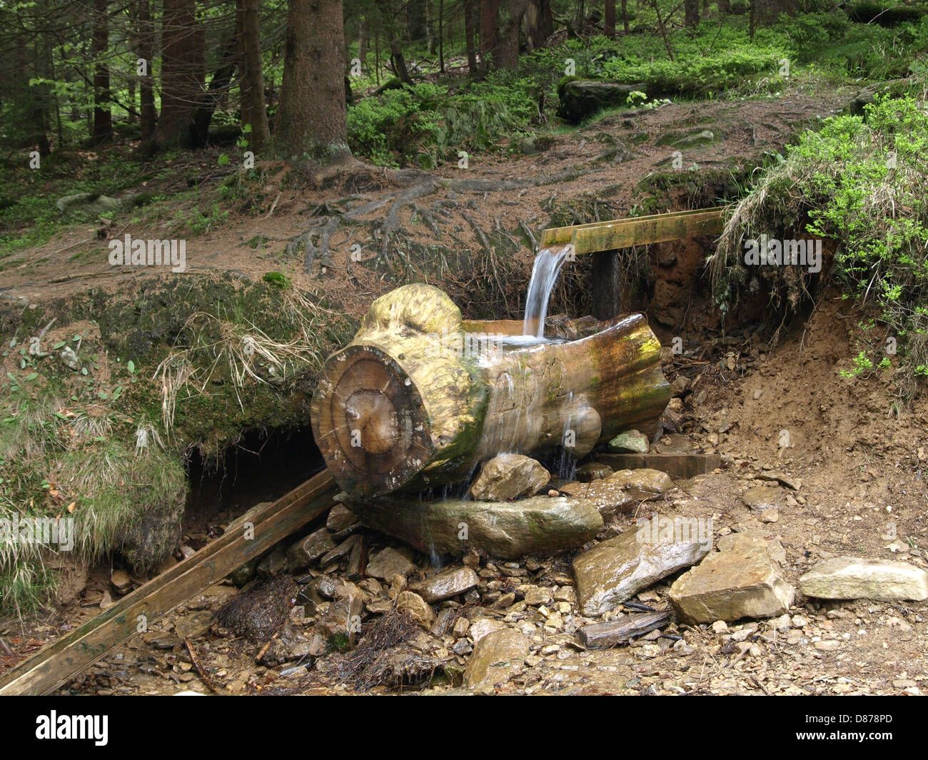 Un puits dans la forêt de Bavière Banque D'Images