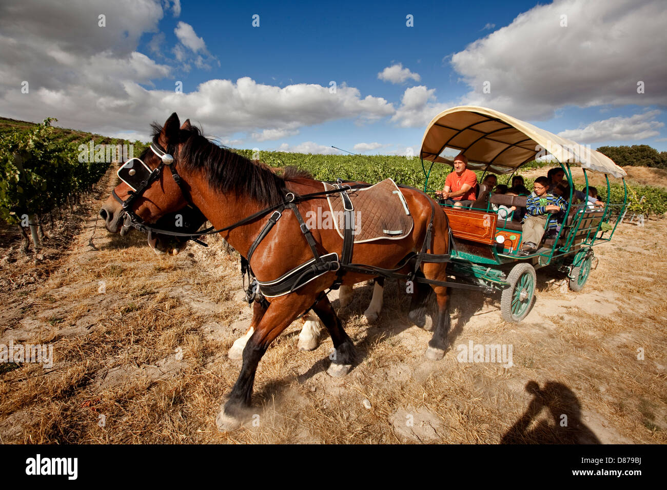 Chevaux tirant un chariot avec des personnes, Lakar, Navarre. Espagne Banque D'Images