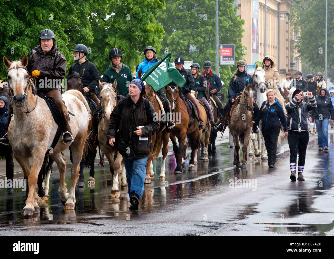 Les membres de l'Association allemande des cavaliers de loisirs (VFD) ride devant le château de Schwerin de Schwerin, Allemagne, 21 mai 2013. L'occasion était le 4oth anniversaire de la VD. Photo : JENS BUETTNER Banque D'Images