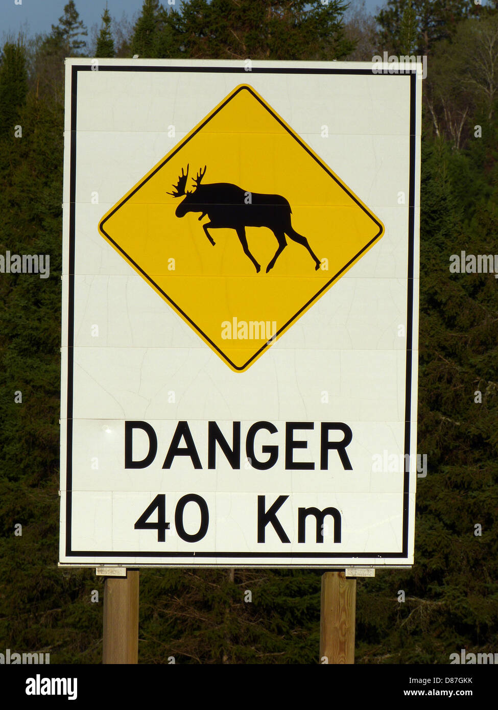 Panneau routier à l'orignal dans le Parc Algonquin (Ontario) Canada l'autoroute 60 qui traverse le parc provincial Banque D'Images