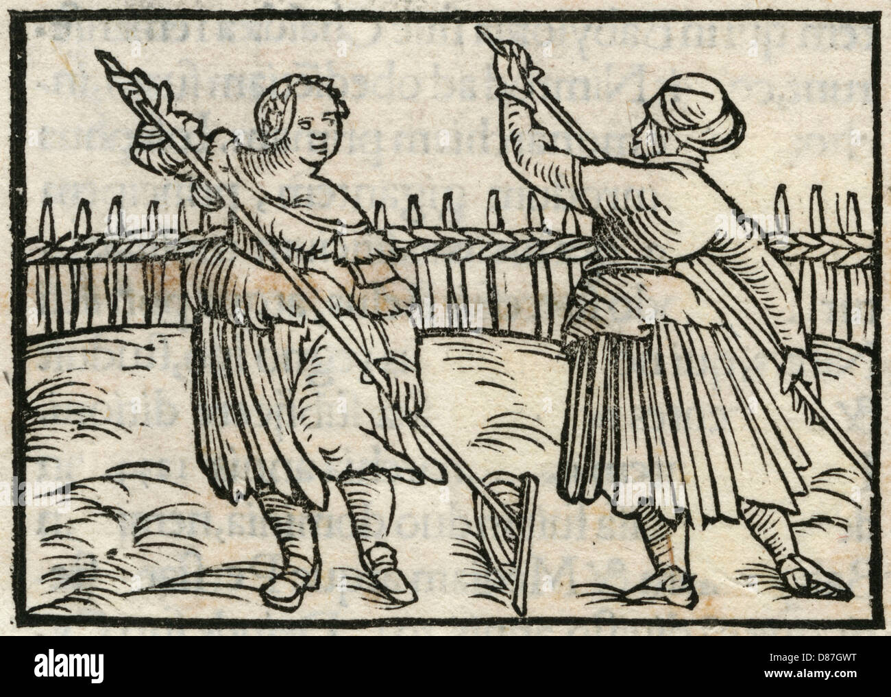 PRODUCTION DE FOIN C16 ALLEMAGNE Banque D'Images