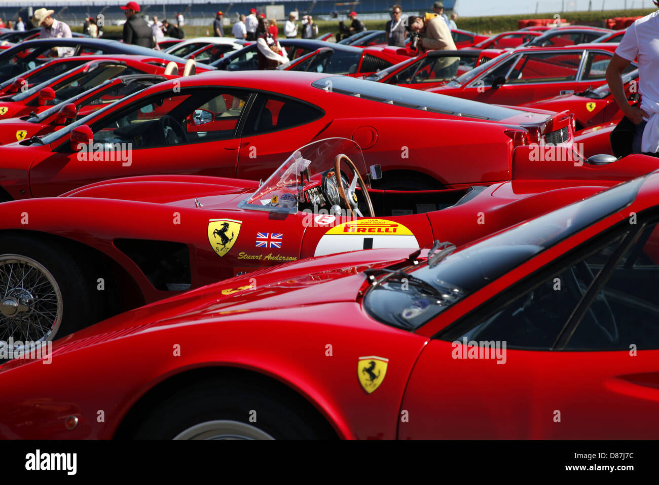 Rouge Ferrari 250 GTE & 430 VOITURES ANGLETERRE SILVERSTONE 17 Septembre 2012 Banque D'Images