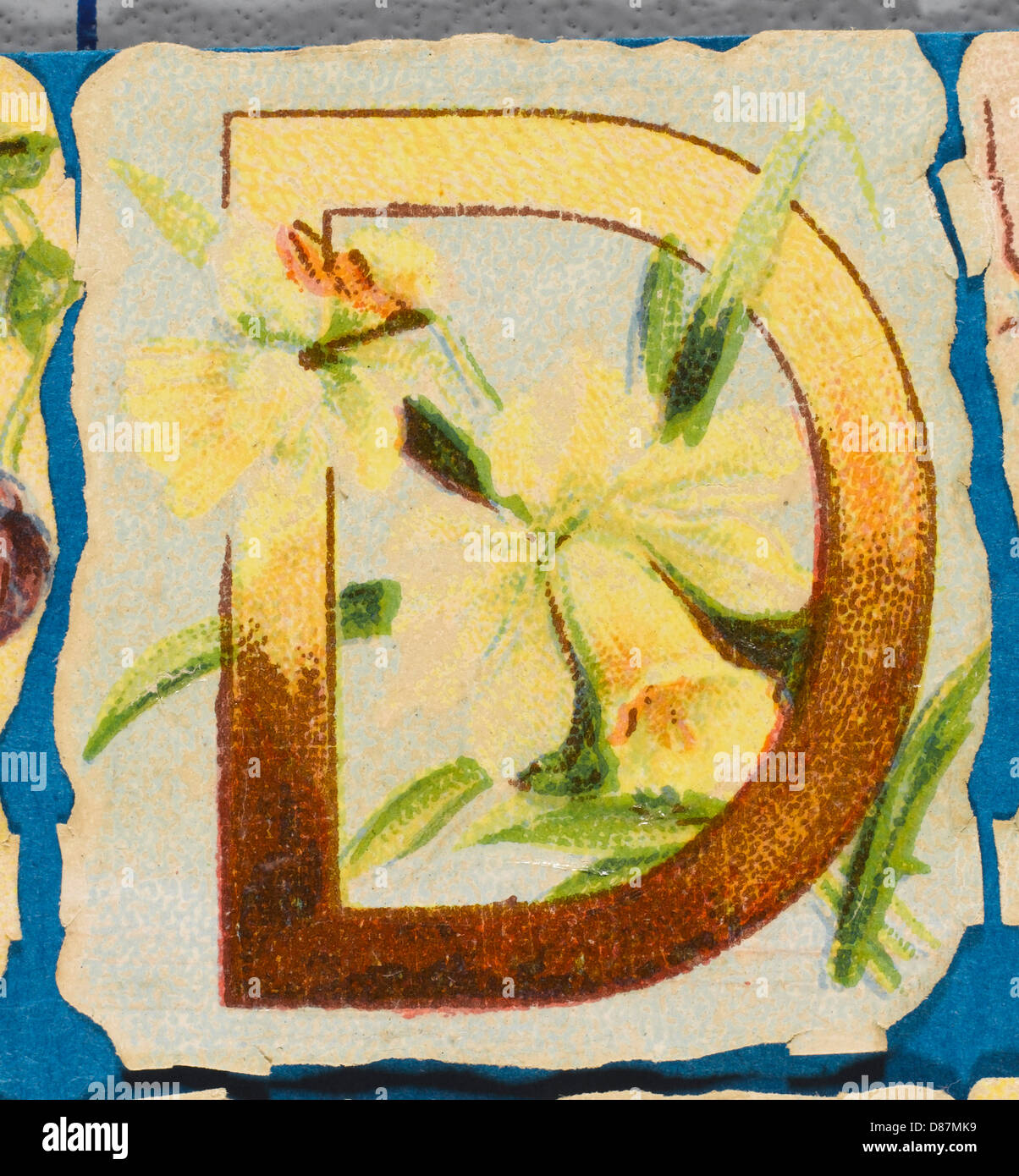 Alphabet floral décoratif - D Banque D'Images