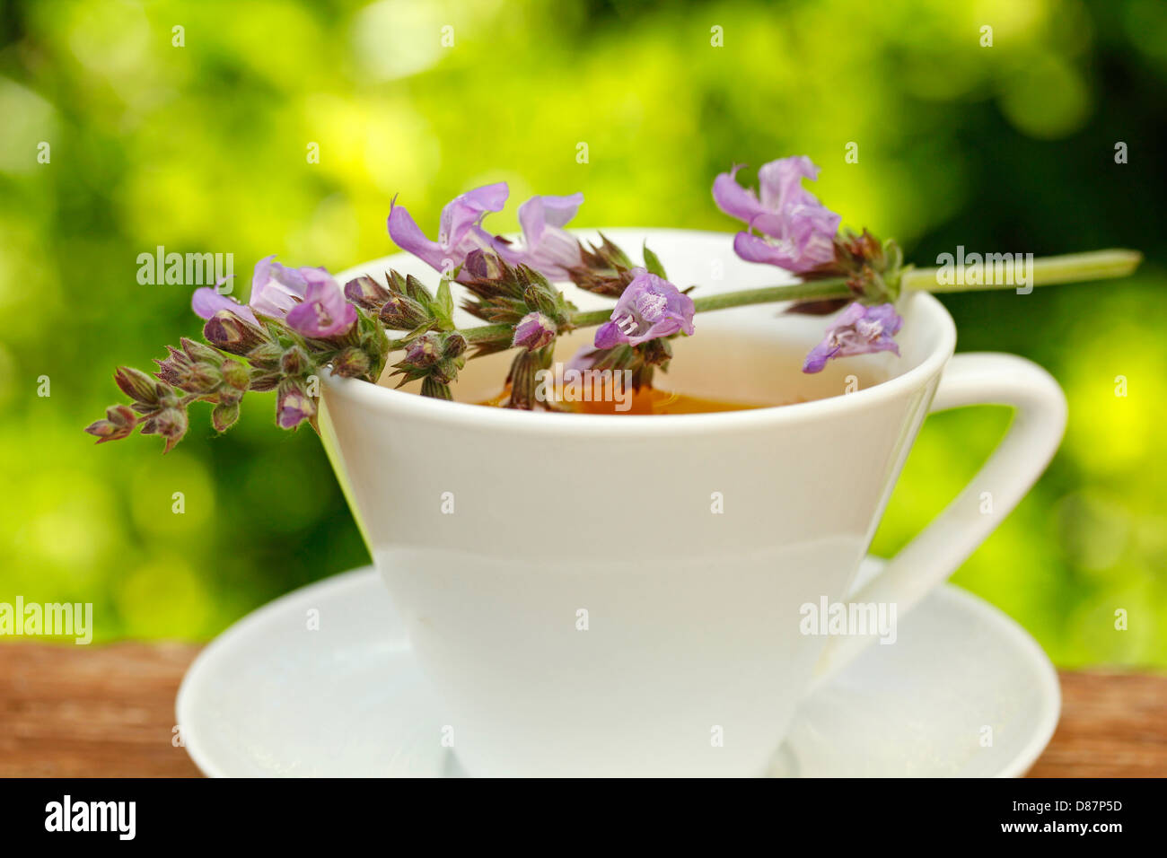 L'infusion de sauge. Salvia officinalis. Banque D'Images