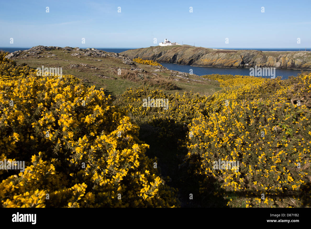 Le sentier du littoral du pays de Galles dans le Nord du Pays de Galles. Vue pittoresque de Porth, Eilian près de Llaneilian sur l'Anglesey. Banque D'Images