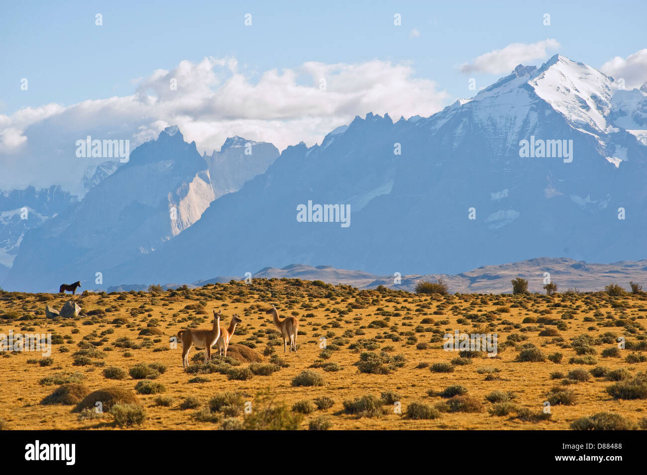 Parc National Torres del Paine, Chili Banque D'Images