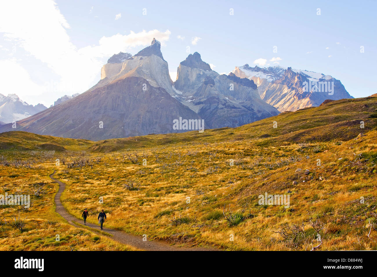 Parc National Torres del Paine, Chili Banque D'Images