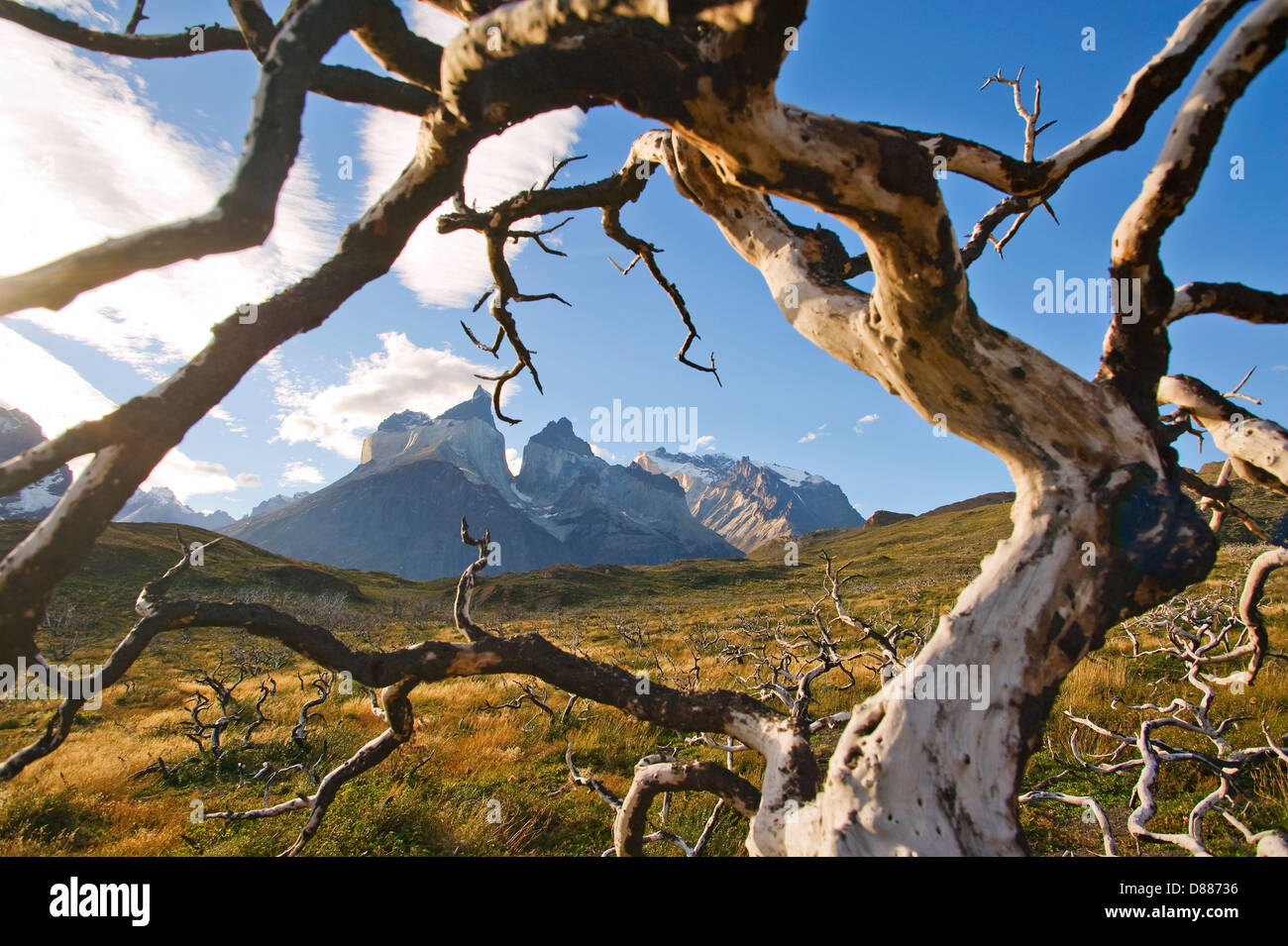 Parc National Torres del Paine, Chili Banque D'Images