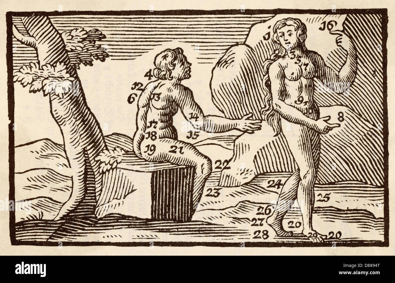 HOMME ET FEMME/1746 Banque D'Images