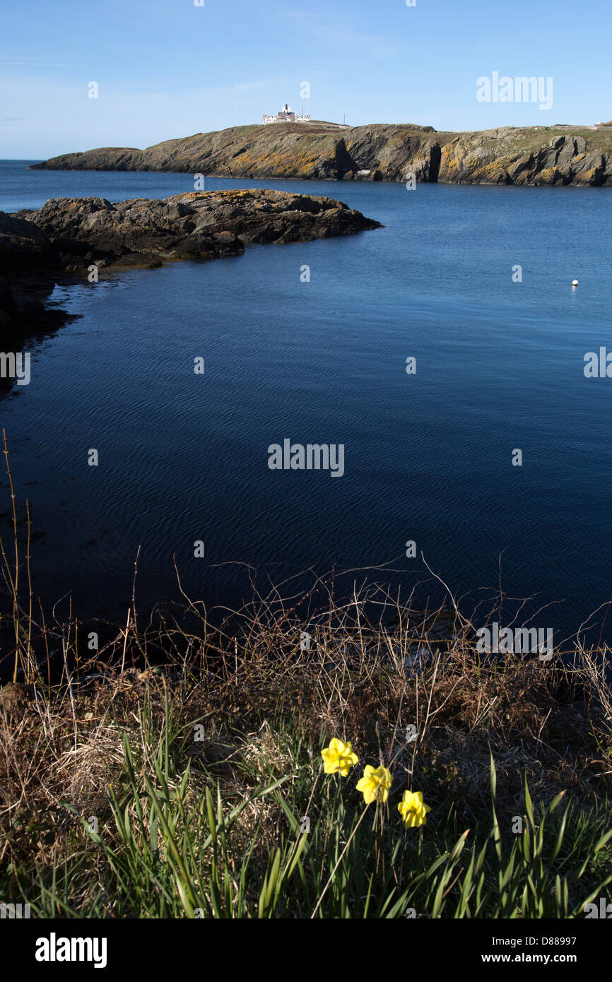 Le sentier du littoral du pays de Galles dans le Nord du Pays de Galles. Vue pittoresque de Porth, Eilian près de Llaneilian sur l'Anglesey. Banque D'Images