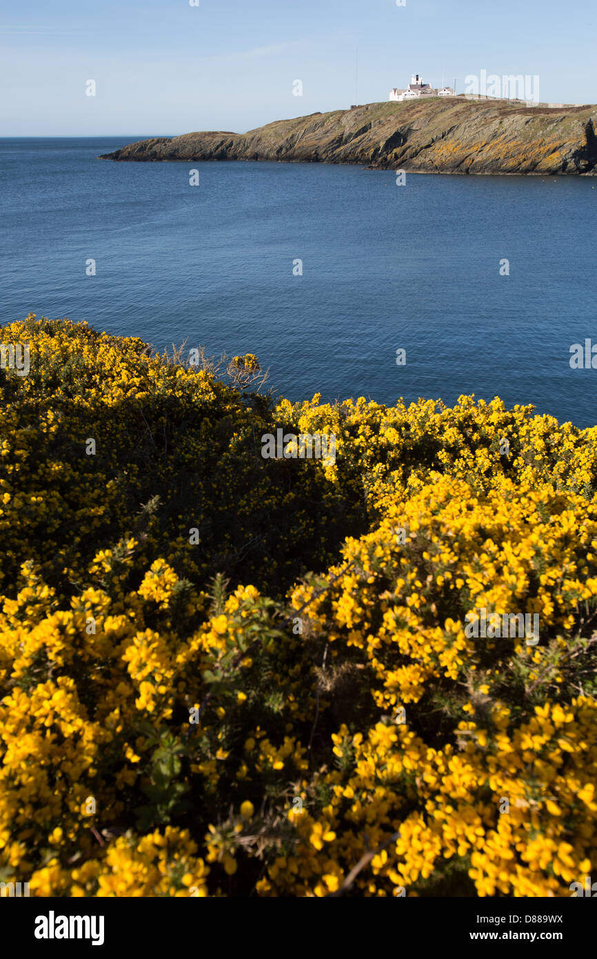 Le sentier du littoral du pays de Galles dans le Nord du Pays de Galles. Vue pittoresque de Porth, Eilian près de Llaneilian sur l'Anglesey. Banque D'Images