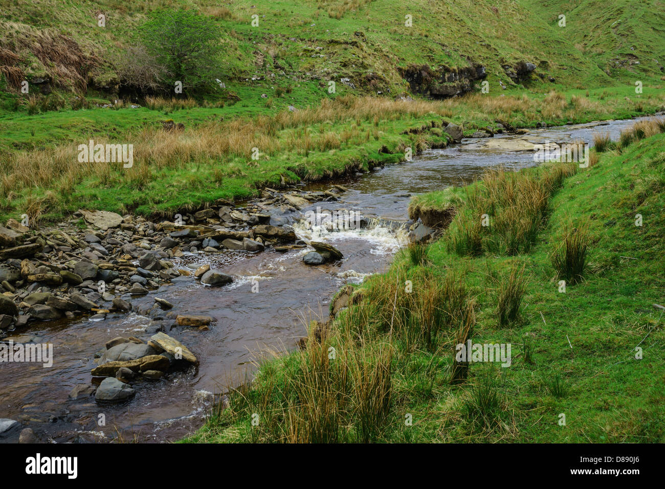 Cliffhope brûler dans la région de Liddesdale, près de l'Saughtree, Wauchope Forest Hill Country dans la région des Scottish Borders. Banque D'Images