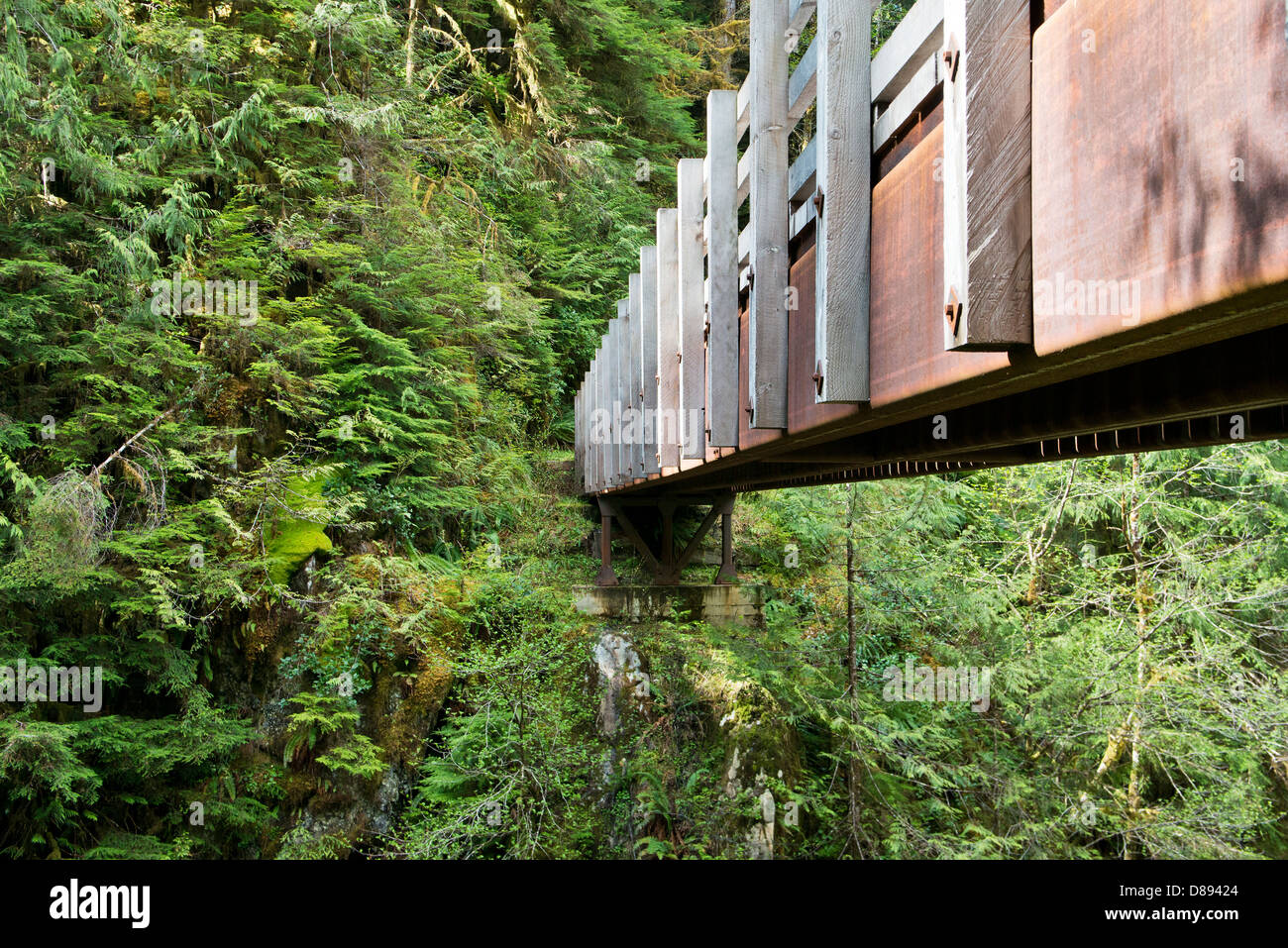 Pont de bois sur la forêt nationale ravin près de Quinault, Washington, USA Banque D'Images