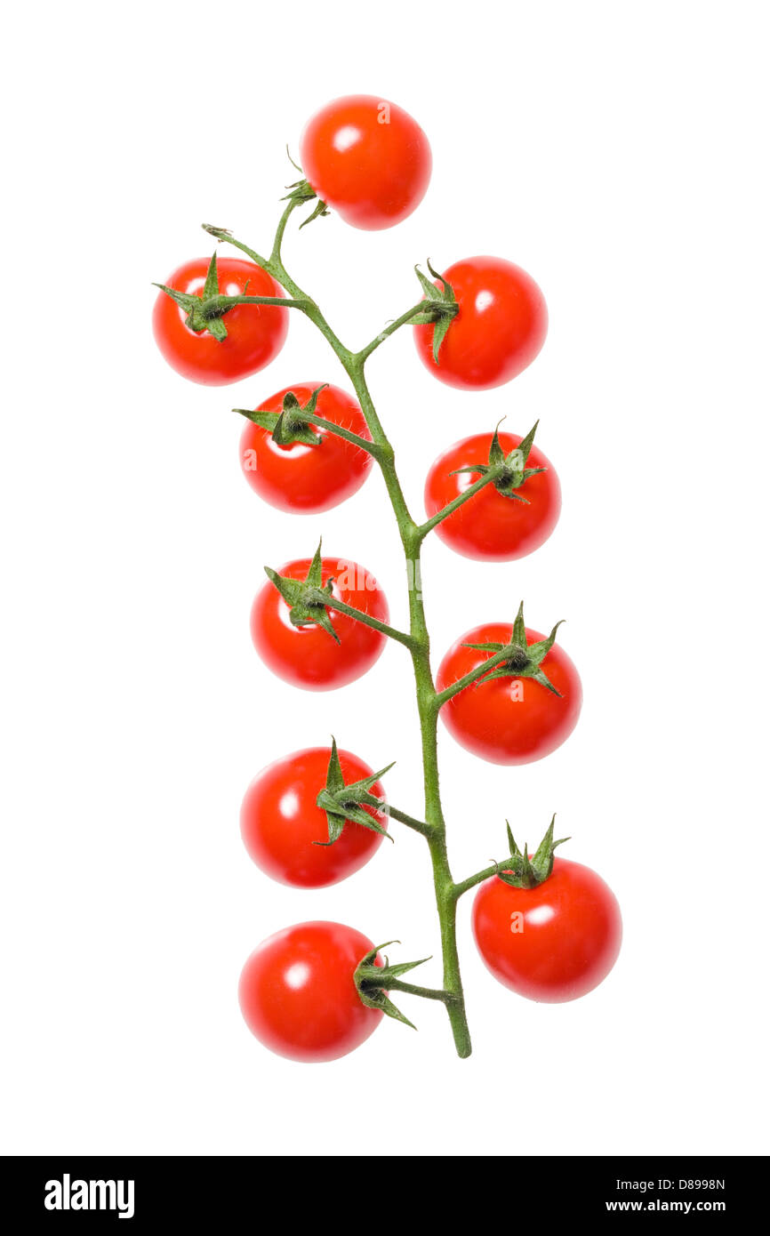 Les tomates cerises. Banque D'Images