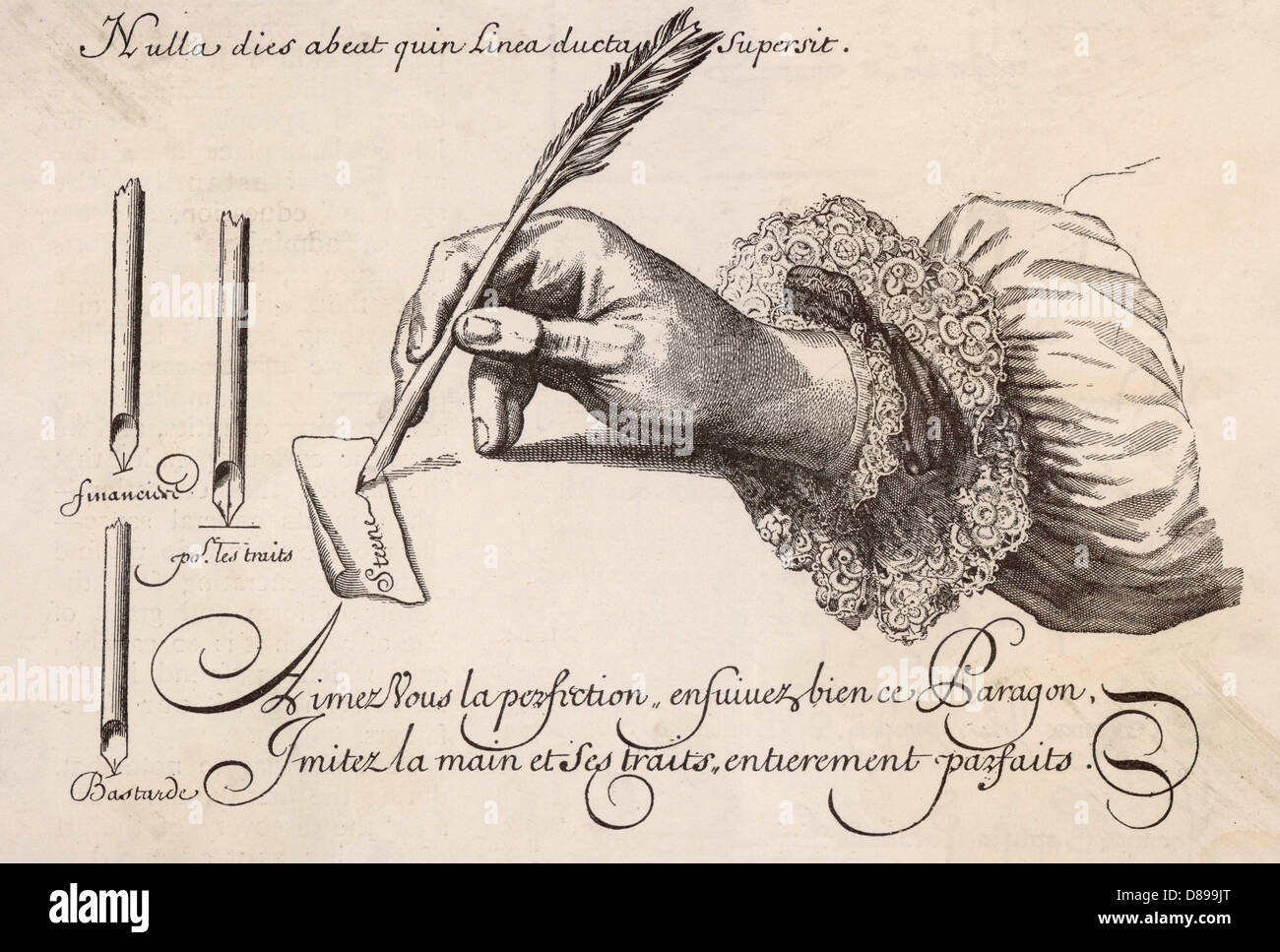 La main et à la plume Banque D'Images