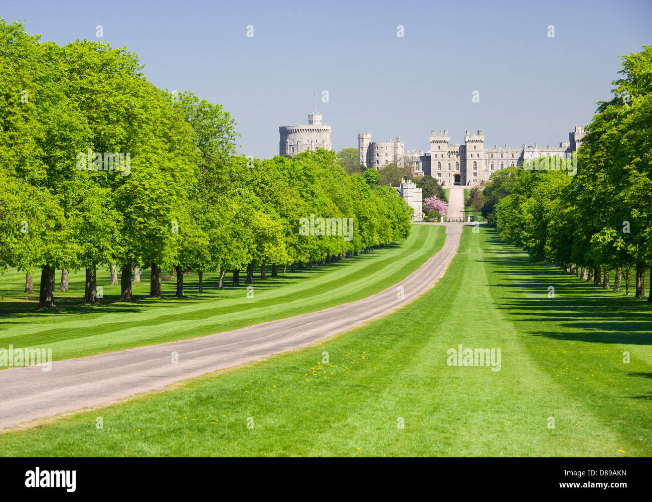 Le Château de Windsor à partir de la Longue Marche, Berkshire, Angleterre, Royaume-Uni. Banque D'Images