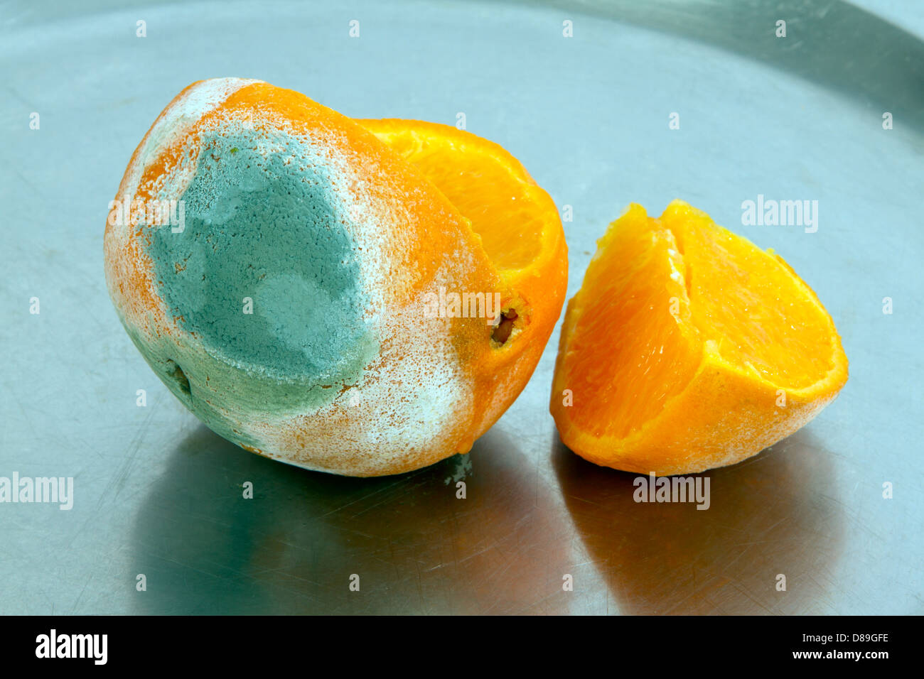 Les fruits pourris, couper l'orange moisie Banque D'Images