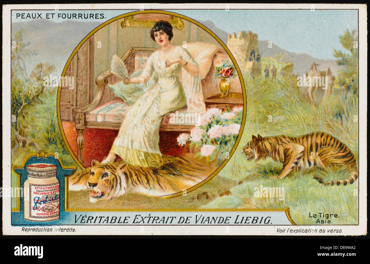 TAPIS EN PEAU DE TIGRE Banque D'Images