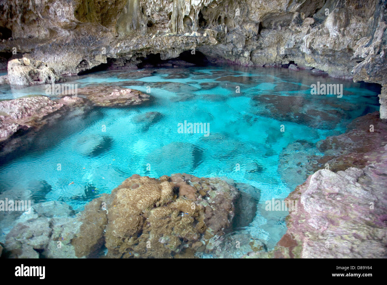 Piscine d'eau de mer à l'intérieur Avaiki Cave, Alofi, Niue, île du Pacifique Sud. Banque D'Images