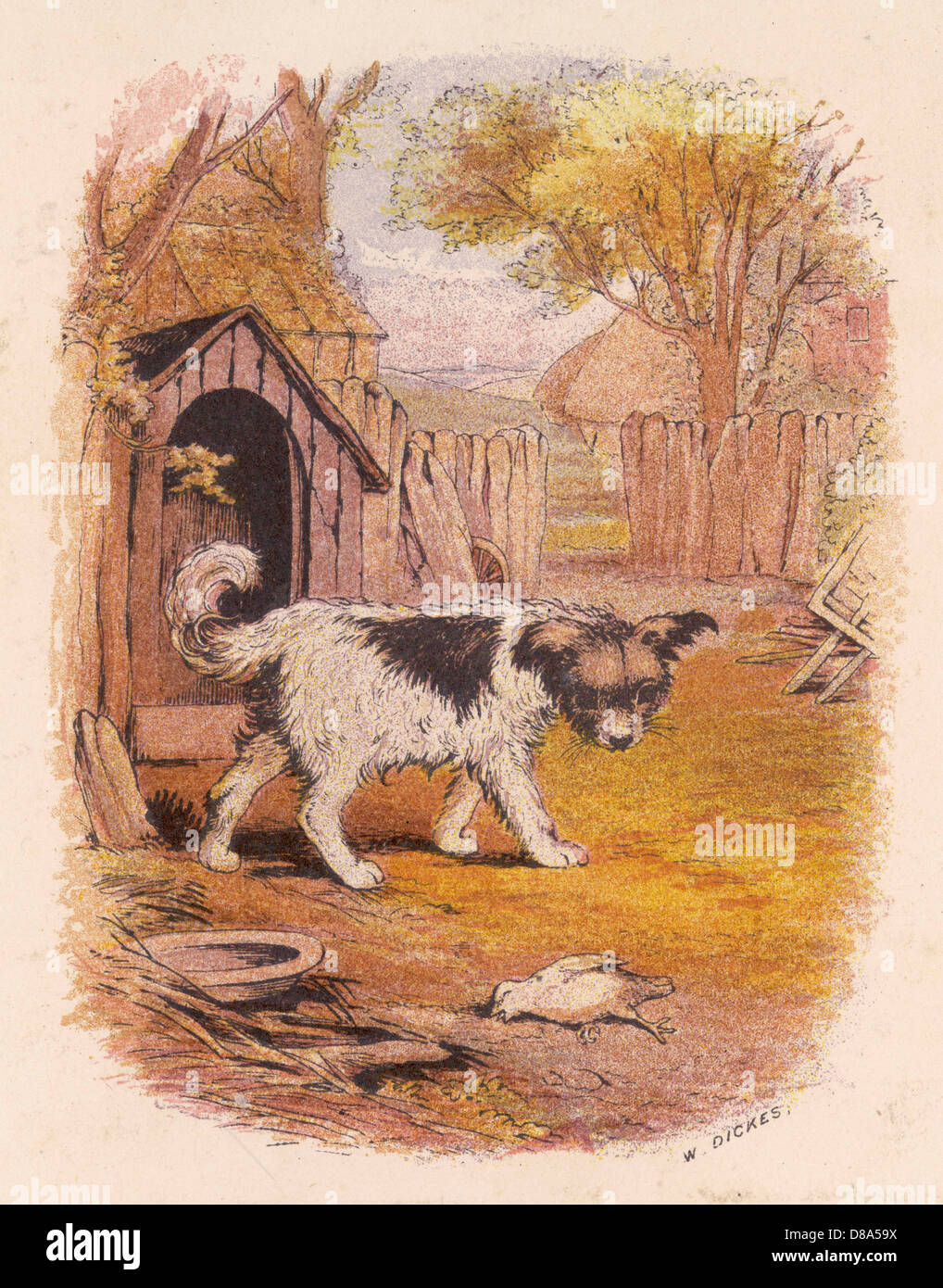 CHIEN ET OISEAU MORT Banque D'Images