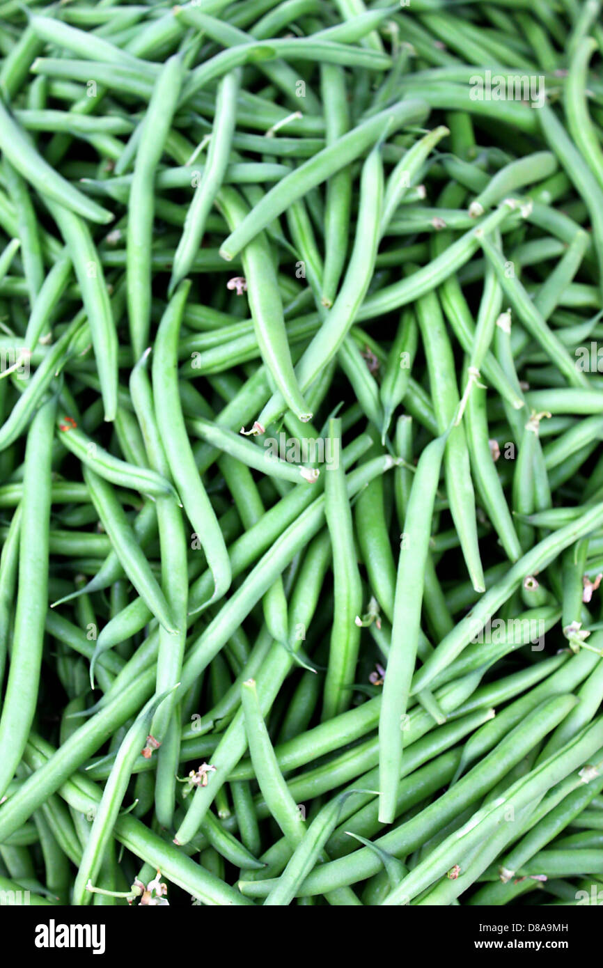 Haricots verts Banque D'Images