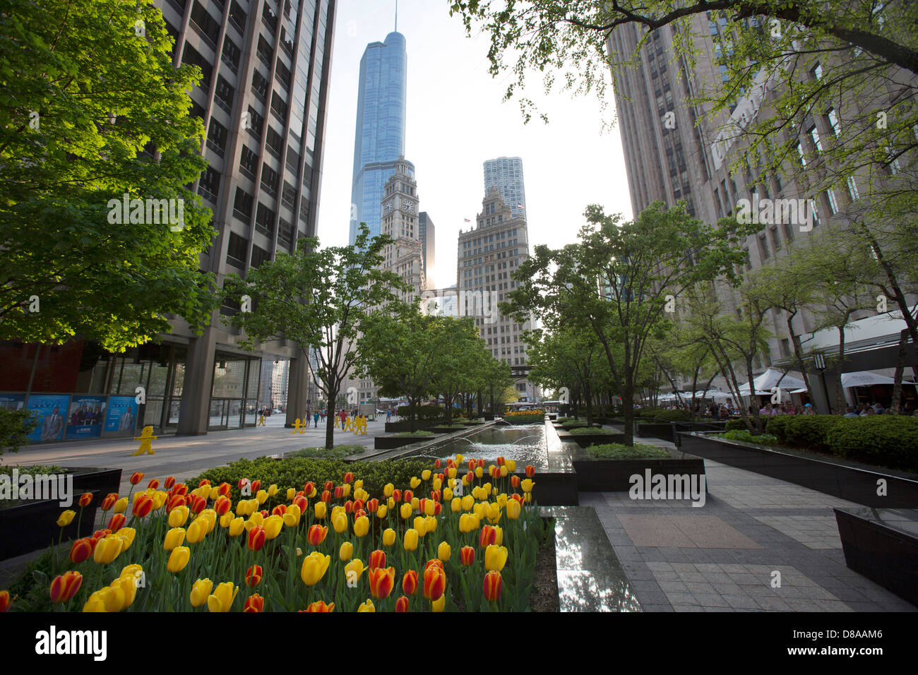 Tulipes vu en cour pioneer plaza près de Michigan Avenue de printemps printanières magnficent and cool mile scenic places in chicago Banque D'Images