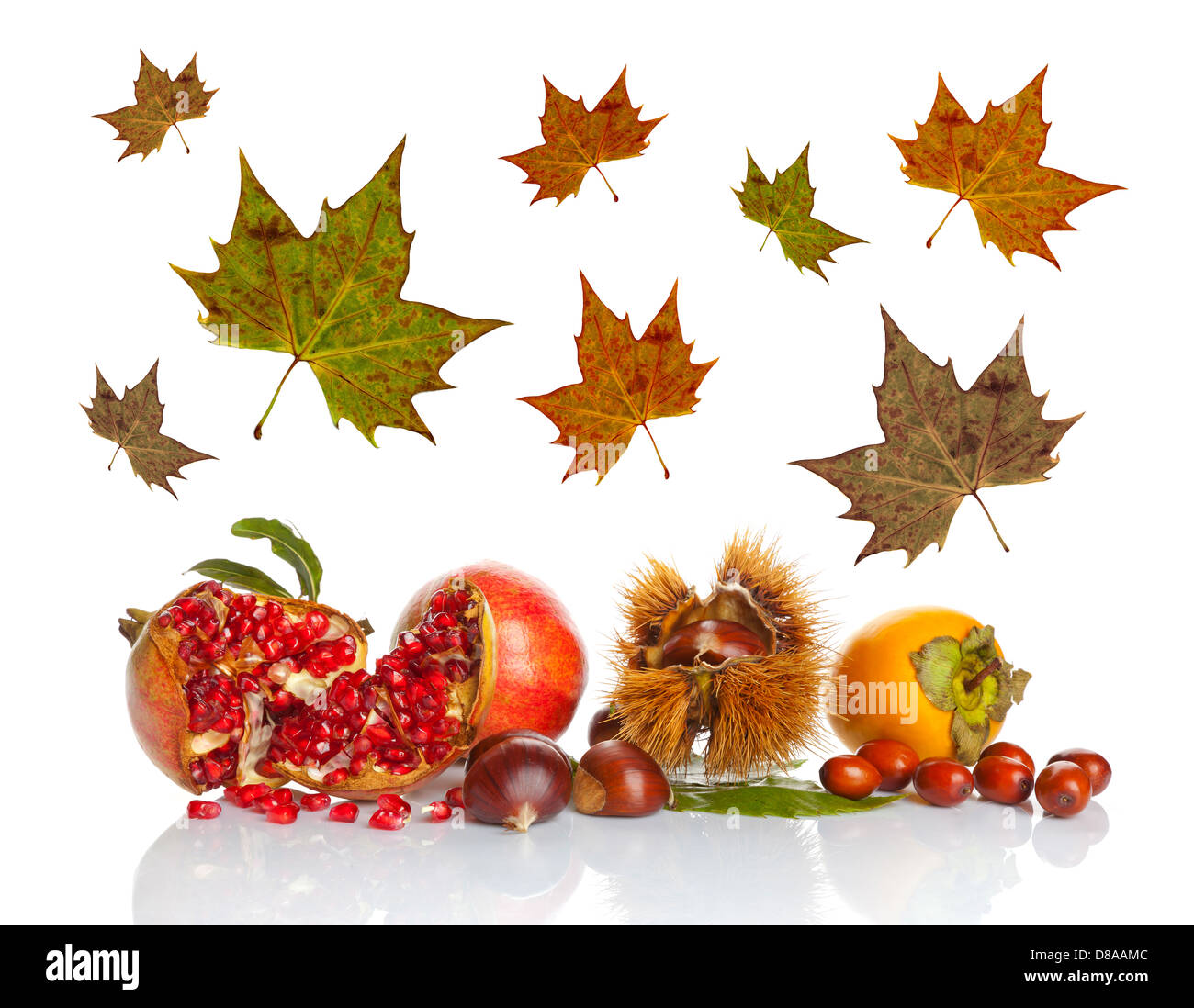Fruits d'automne avec des feuilles sur fond blanc Banque D'Images