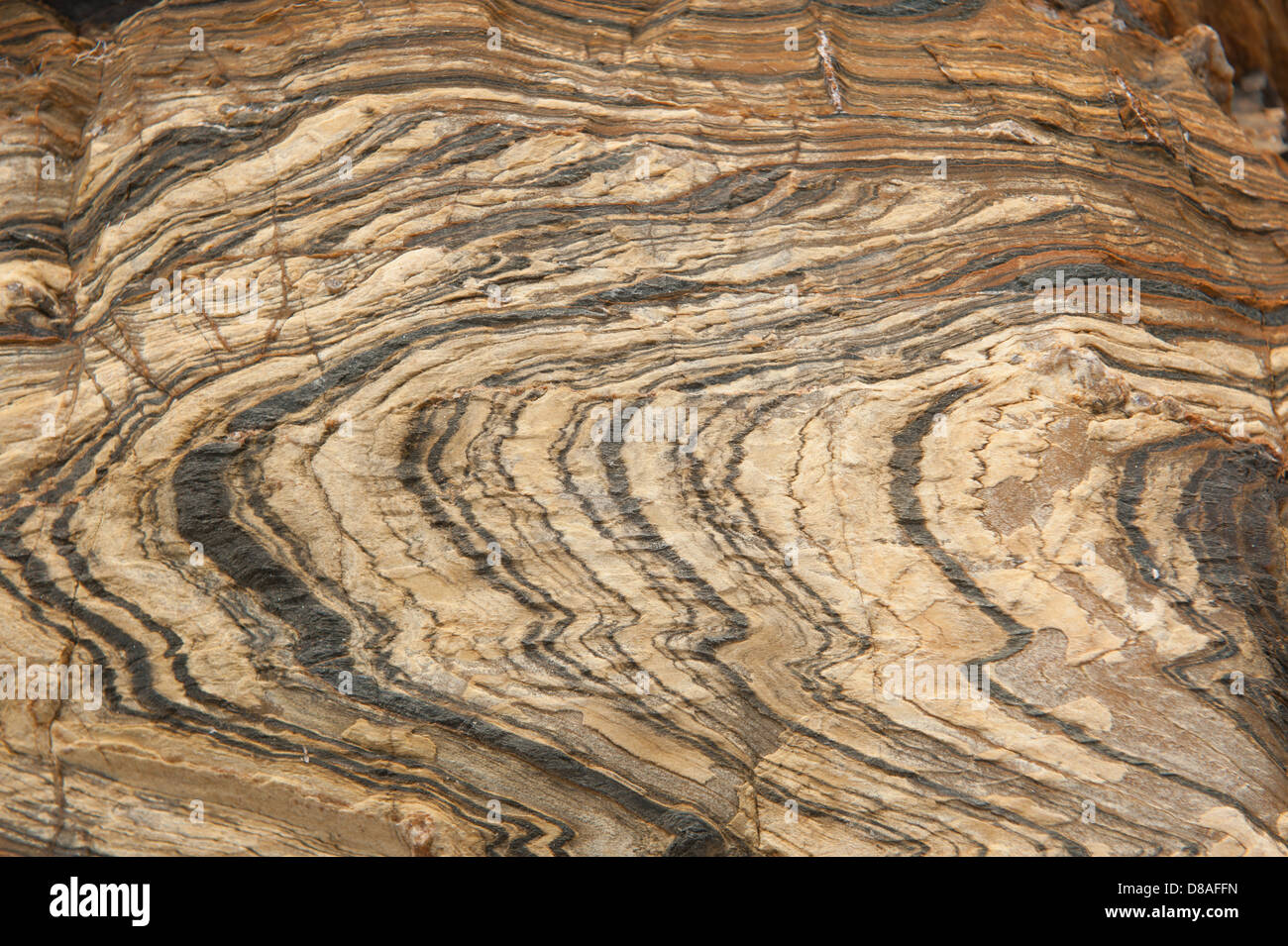 Modèles intéressants dans les formations rocheuses en deuxième Valley en Australie du Sud Banque D'Images