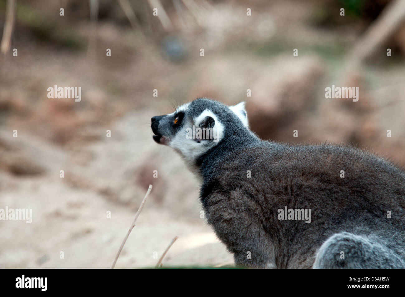 Untitled Document Banque D'Images