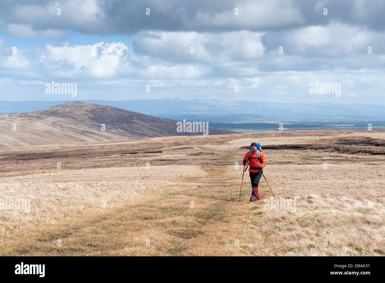 La marche sur le nord est tombé sur le Carrock franges du Lake District Banque D'Images