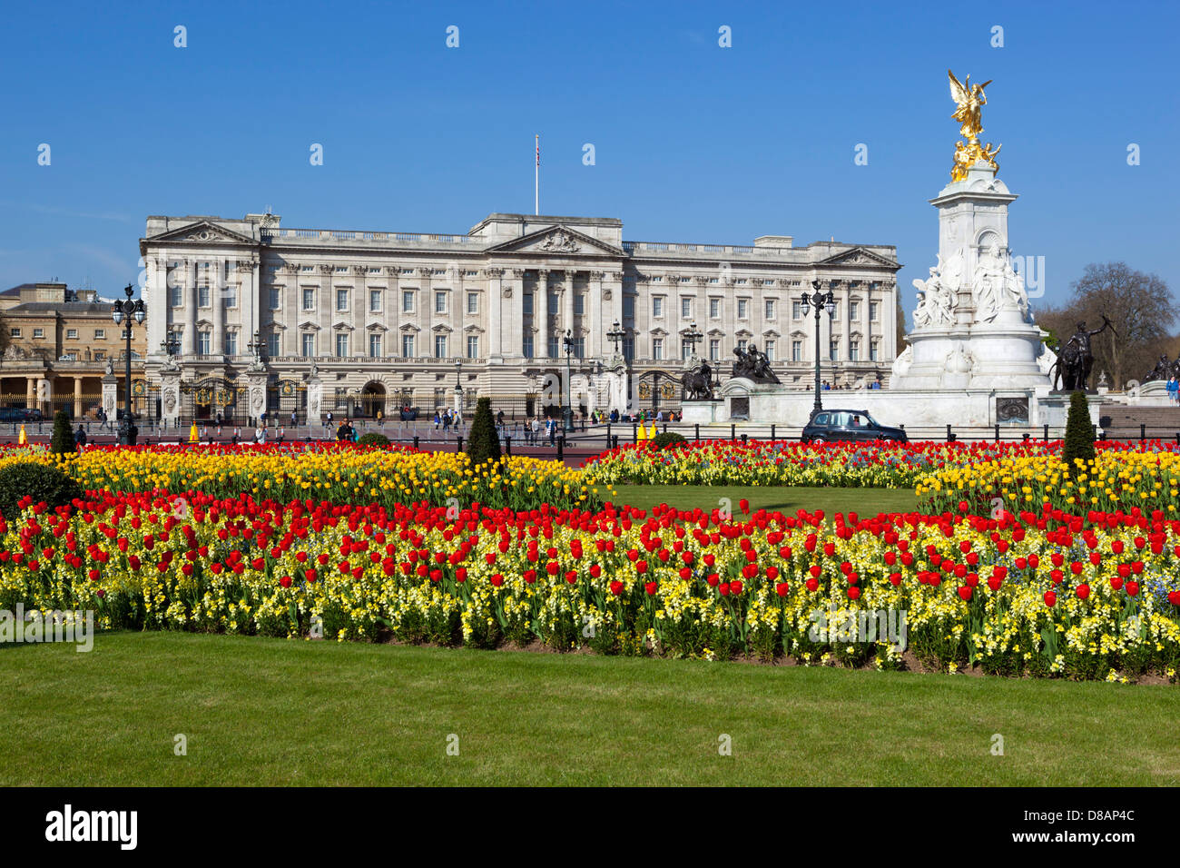 Le palais de Buckingham et la reine Victoria Monument avec des tulipes Banque D'Images