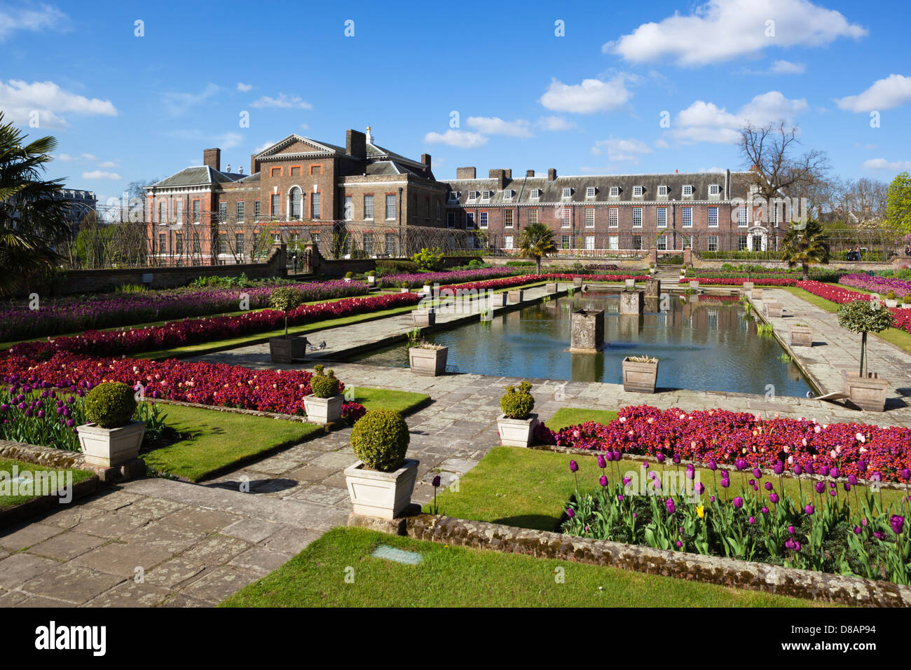 Les jardins du palais de Kensington avec spring Tulips Banque D'Images