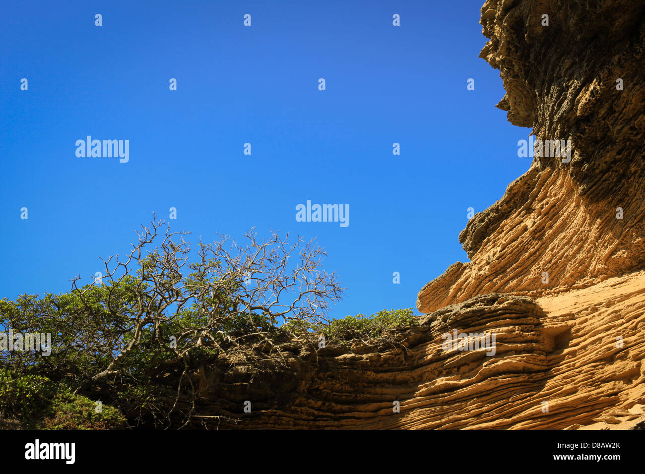 Rock formation, back beach, Australie, Portsea Banque D'Images