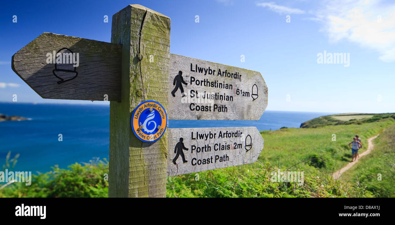 Coast Path Caerfai Bay St Davids, Pembrokeshire Wales Banque D'Images