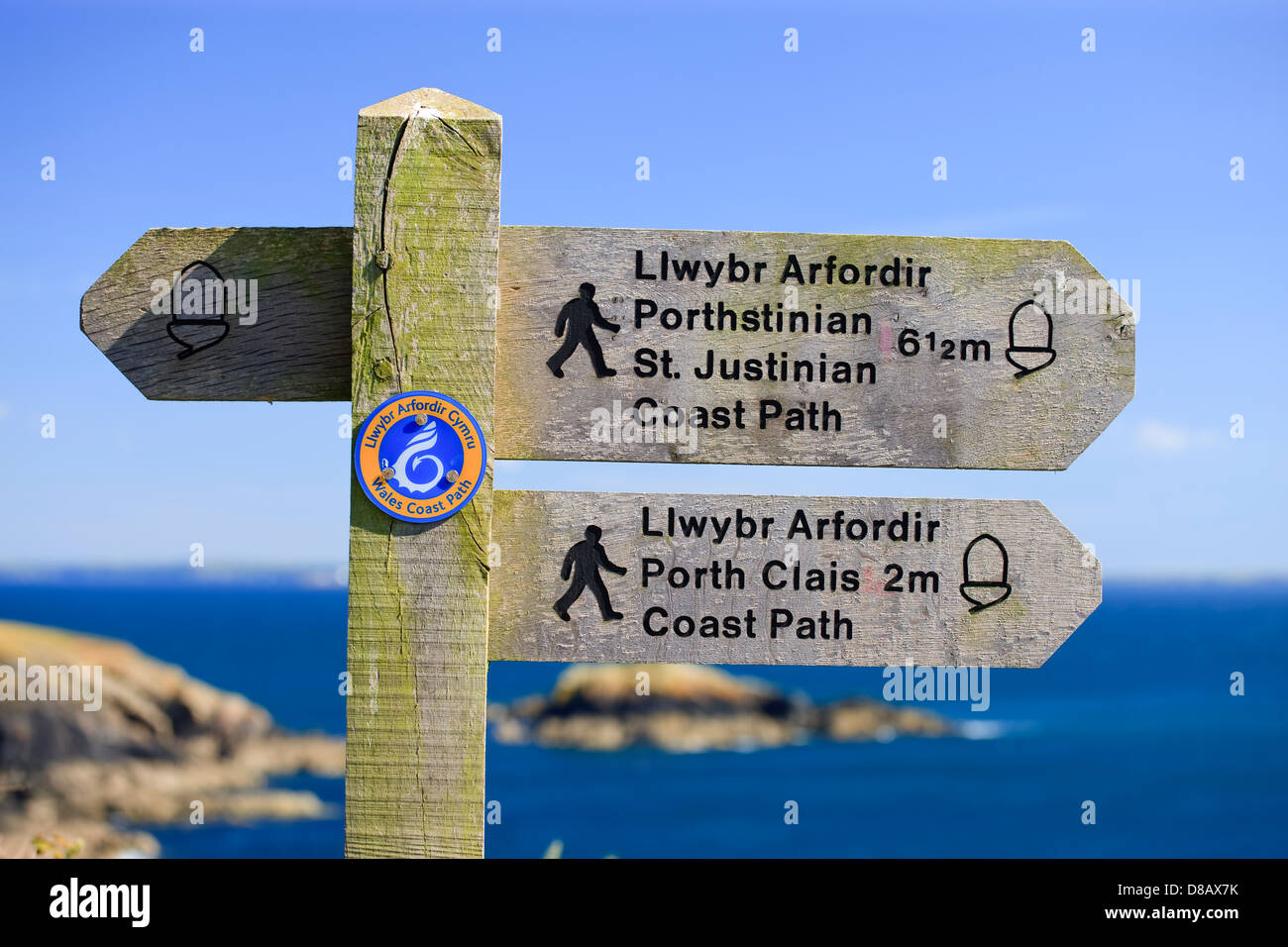 Coast Path Caerfai Bay St Davids, Pembrokeshire Wales Banque D'Images