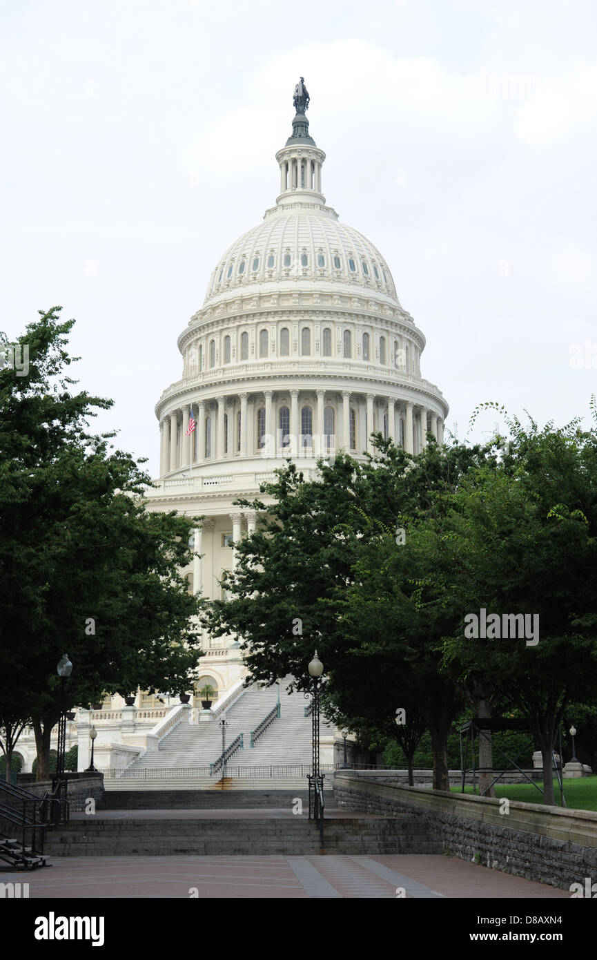 United States Capital Dome d'arbres sur l'avant-plan Banque D'Images