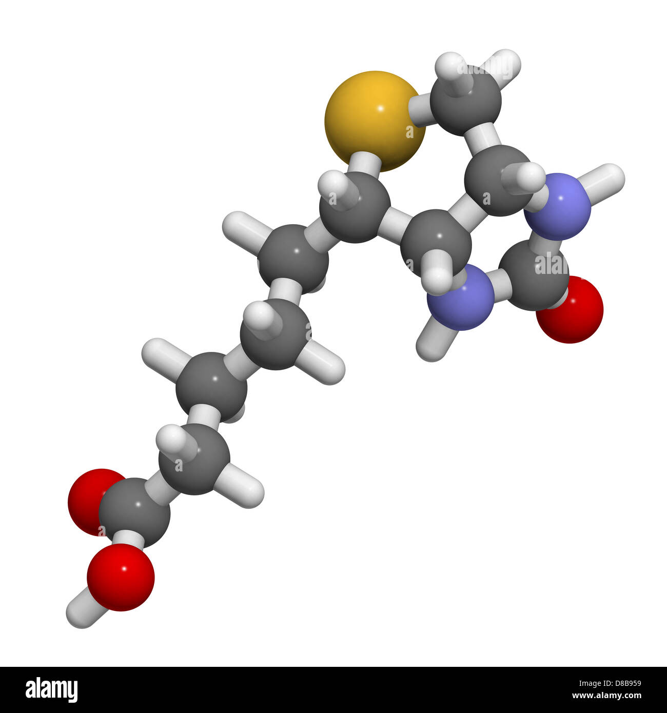 La vitamine B7 (biotine), le modèle moléculaire. Les atomes sont représentés comme des sphères avec codage couleur classiques Banque D'Images