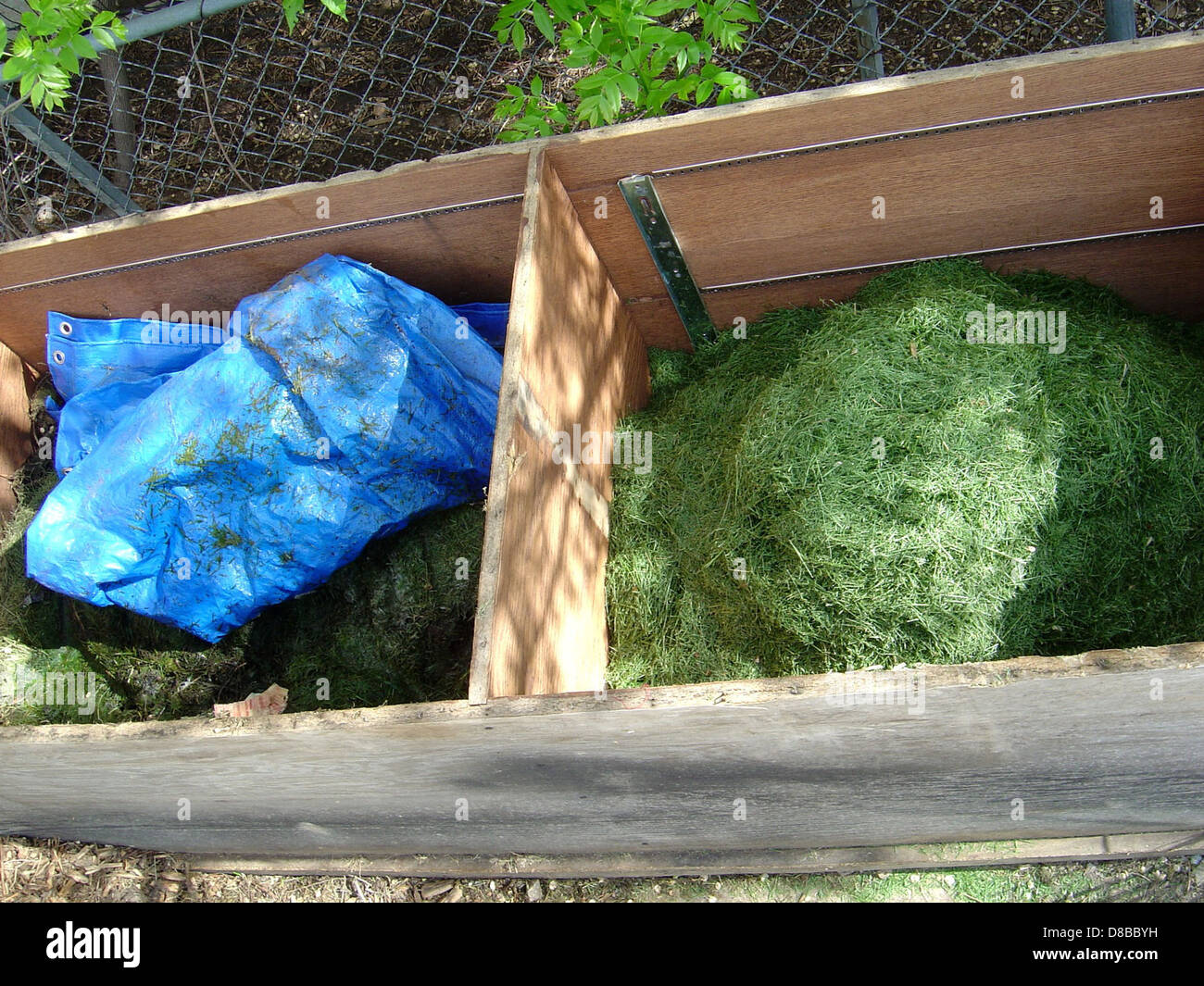 Bac à compost rempli de déchets organiques comme les écorces de fruits, les feuilles et autres substances biodégradables. Le processus de compostage transforme les déchets en sol riche en nutriments pour le jardinage. Banque D'Images