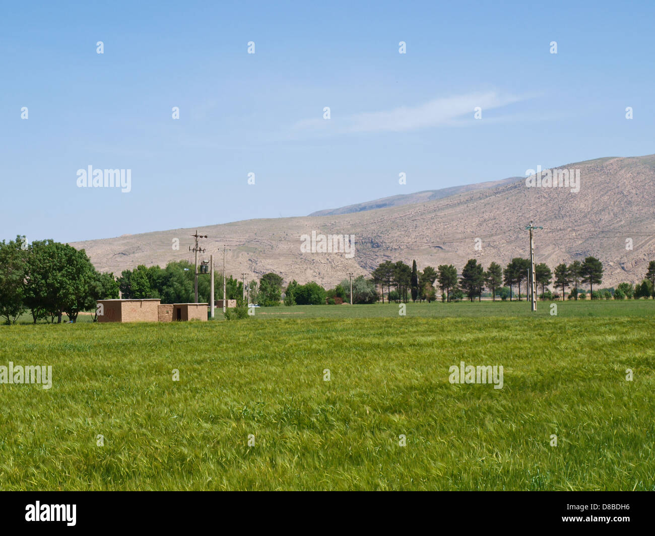 Une architecture d'adobe à meadow field à Shiraz, Iran Banque D'Images