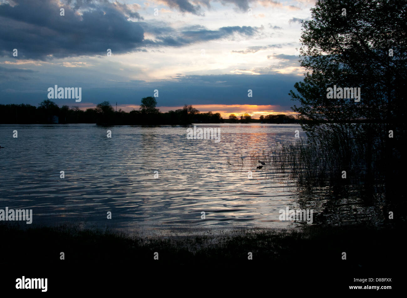 Coucher de soleil sur la rivière des Outaouais, avec la submersion de terres au premier plan. Banque D'Images