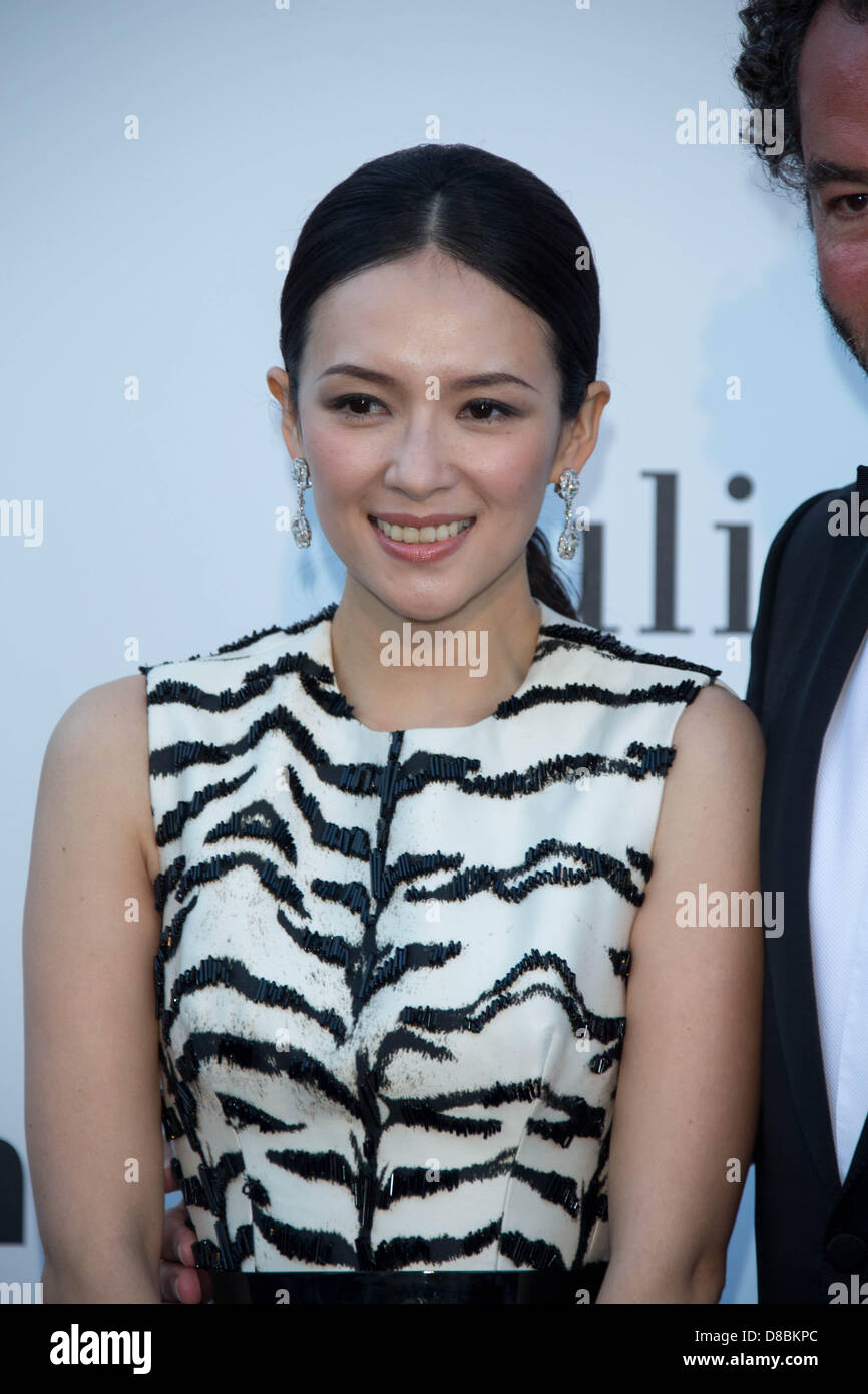 L'actrice Zhang Ziyi assiste à l'amfAR's 20th Annual Gala CINÉMA CONTRE LE SIDA lors de la 66e Festival International du Film de Cannes au Palais des Festivals à Cap d'Antibes, France, le 23 mai 2013. Photo : Hubert Boesl Banque D'Images