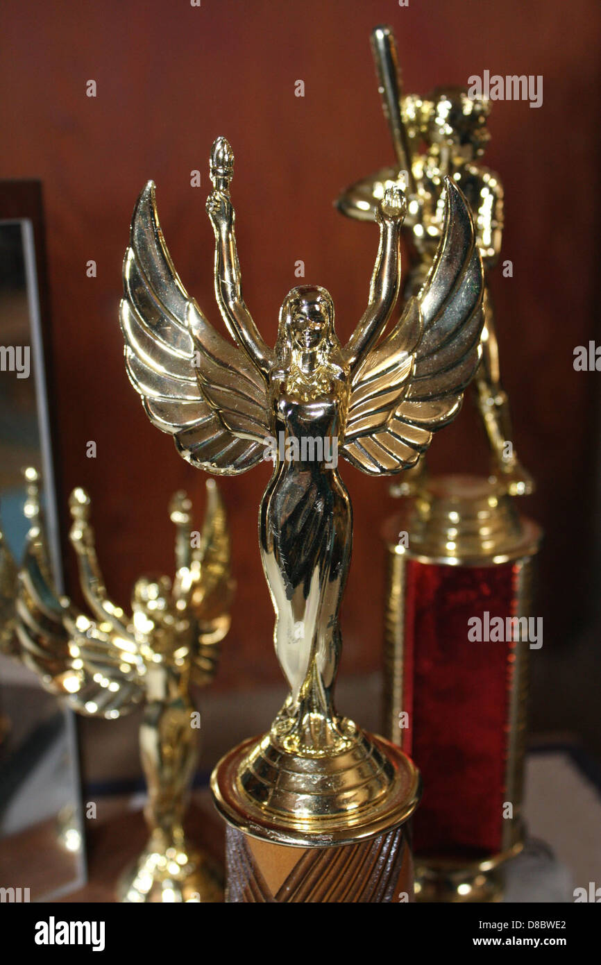 Cette image présente divers trophées, généralement décernés pour des réalisations dans des sports, des compétitions ou d'autres réalisations. Les trophées représentent la reconnaissance et le succès dans divers domaines, tels que le sport et la réussite scolaire. Banque D'Images