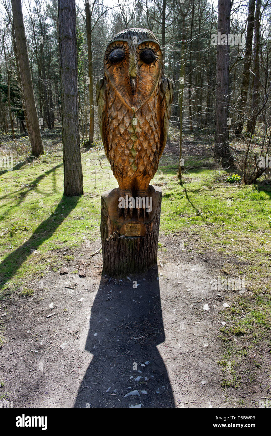 Sculpture en bois de Tyto les sages, par Paul Catling, Haughmond Hill bois près de Shrewsbury, Shropshire, au Royaume-Uni. Banque D'Images