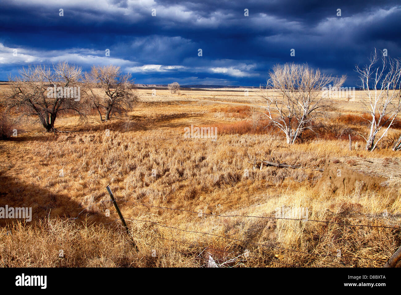 Un paysage du Colorado Banque D'Images