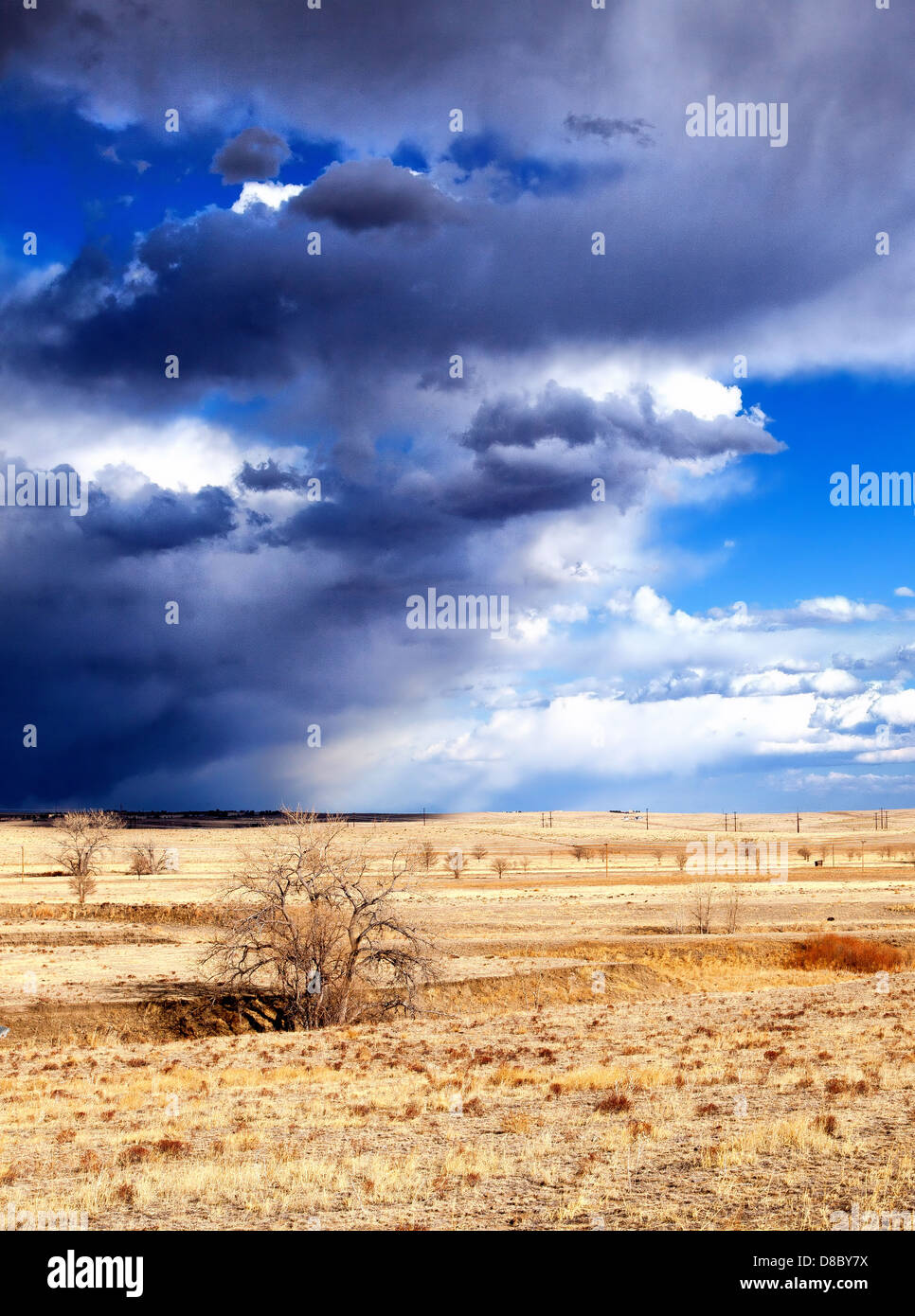 Un paysage du Colorado Banque D'Images