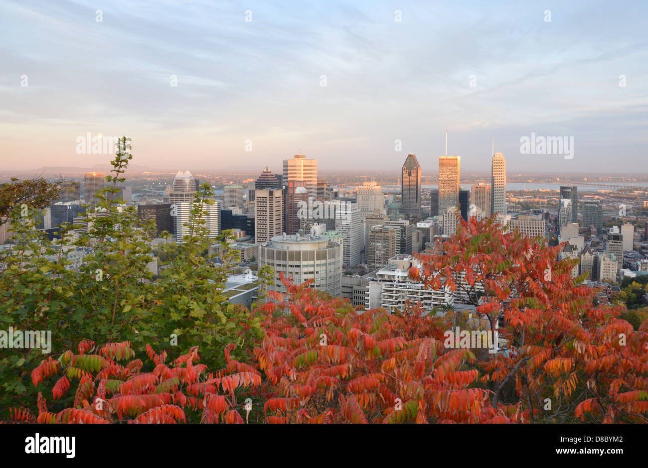 Vue sur les toits de Montréal avant le coucher du soleil, de la Mont-Royal, à l'automne. Banque D'Images