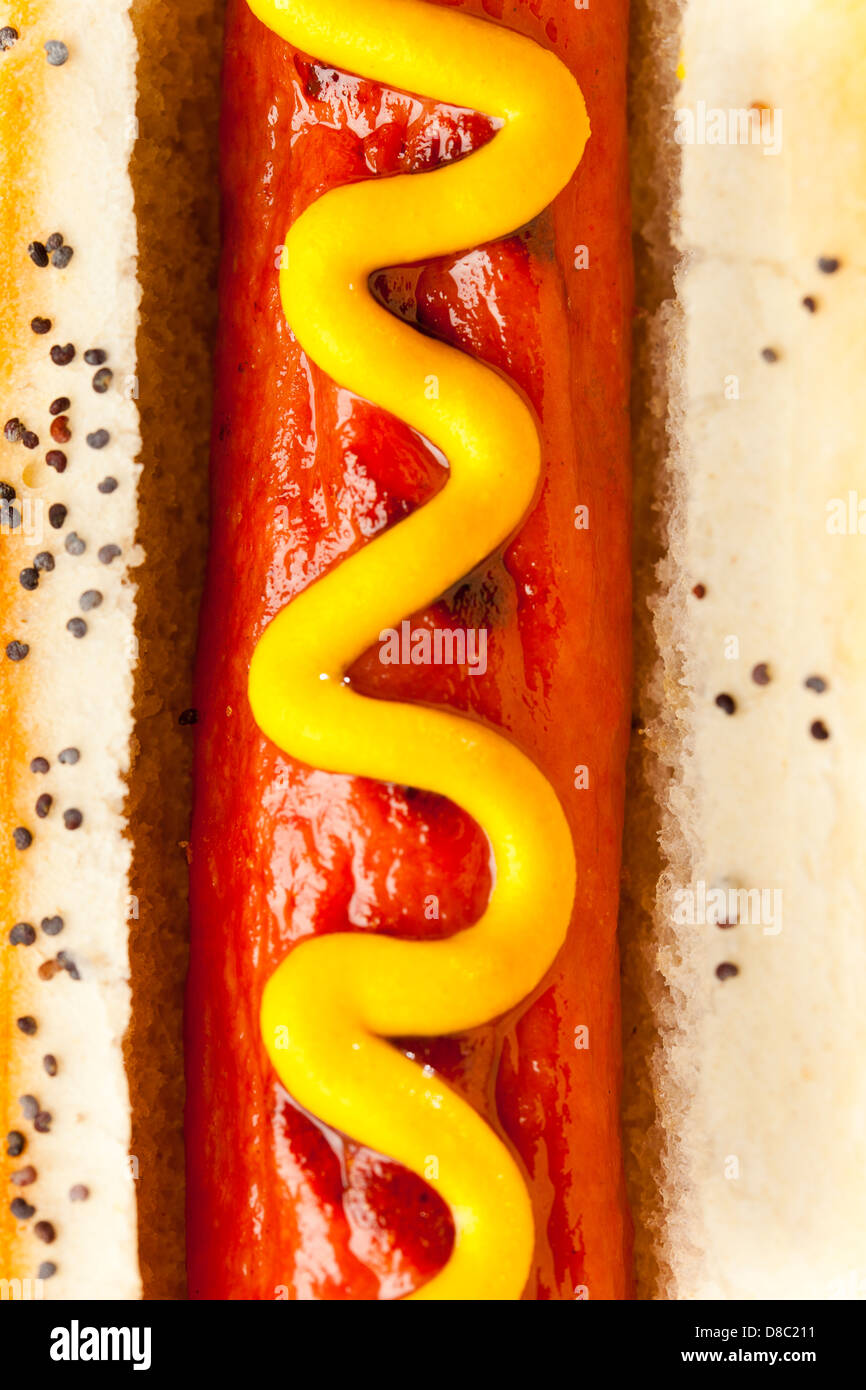 Tout le Bœuf biologique sur un petit pain Hot-dog à la moutarde Banque D'Images