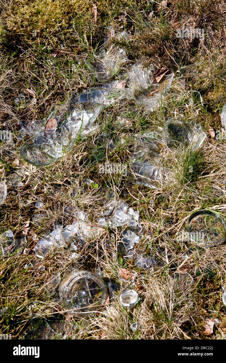 Bouteilles en verre cassé sur l'herbe sèche risque d'incendie Banque D'Images