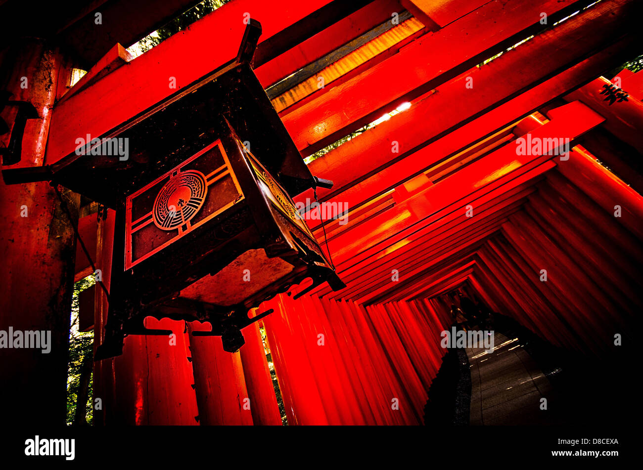 Passerelle sacrée - des milliers de torii vermillon portes de Fushimi Inari Shrine in Kyoto, Japon Banque D'Images