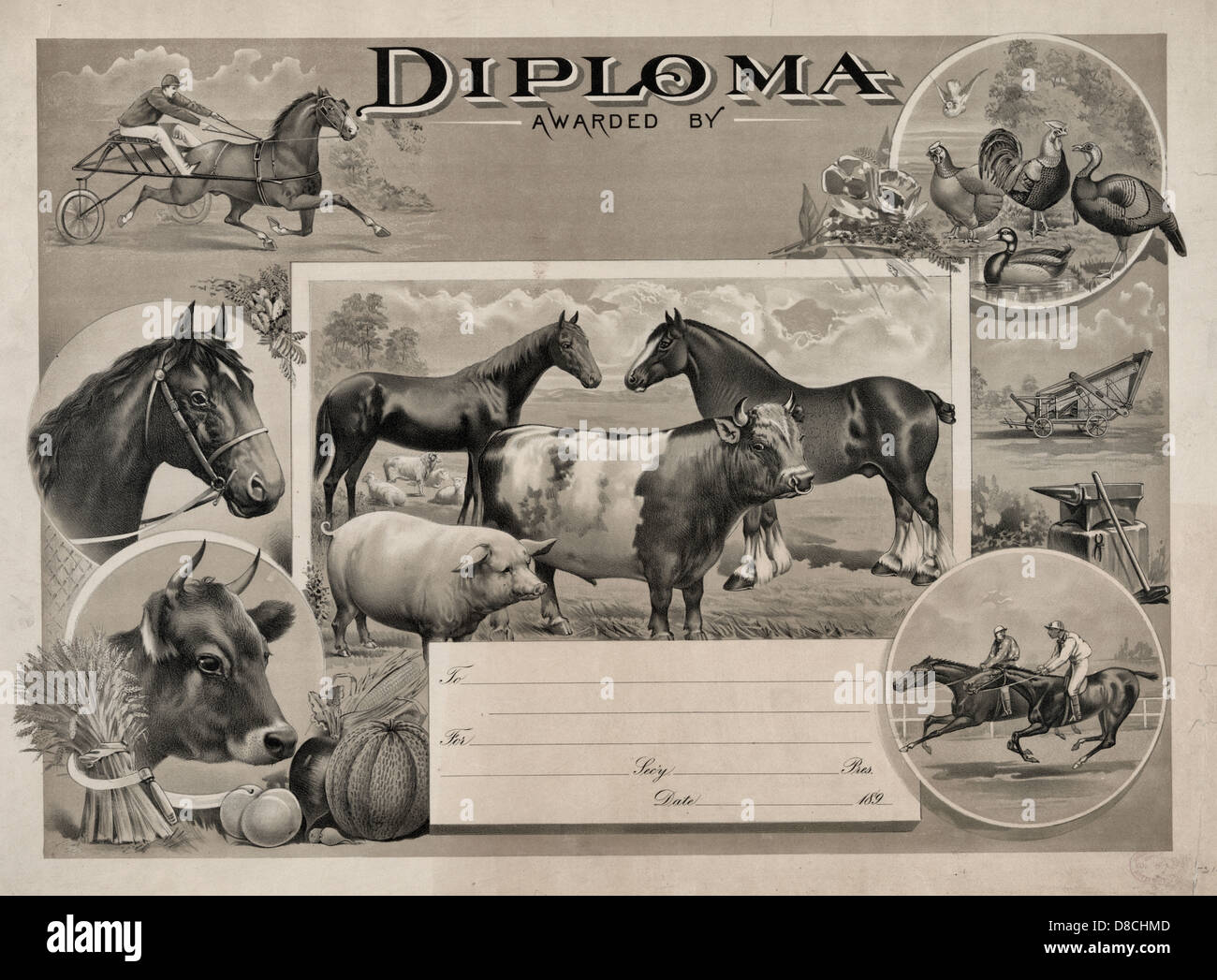 Diplôme remis à - Diplôme montrant les animaux de ferme, des outils, et de produire, et les scènes de course de chevaux, vers 1888 Banque D'Images
